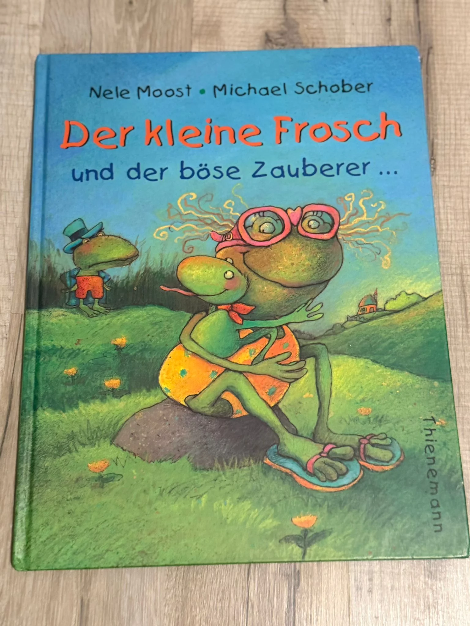 Kinderbuch Der kleine Frosch und der böse Zauberer von Nele Moost