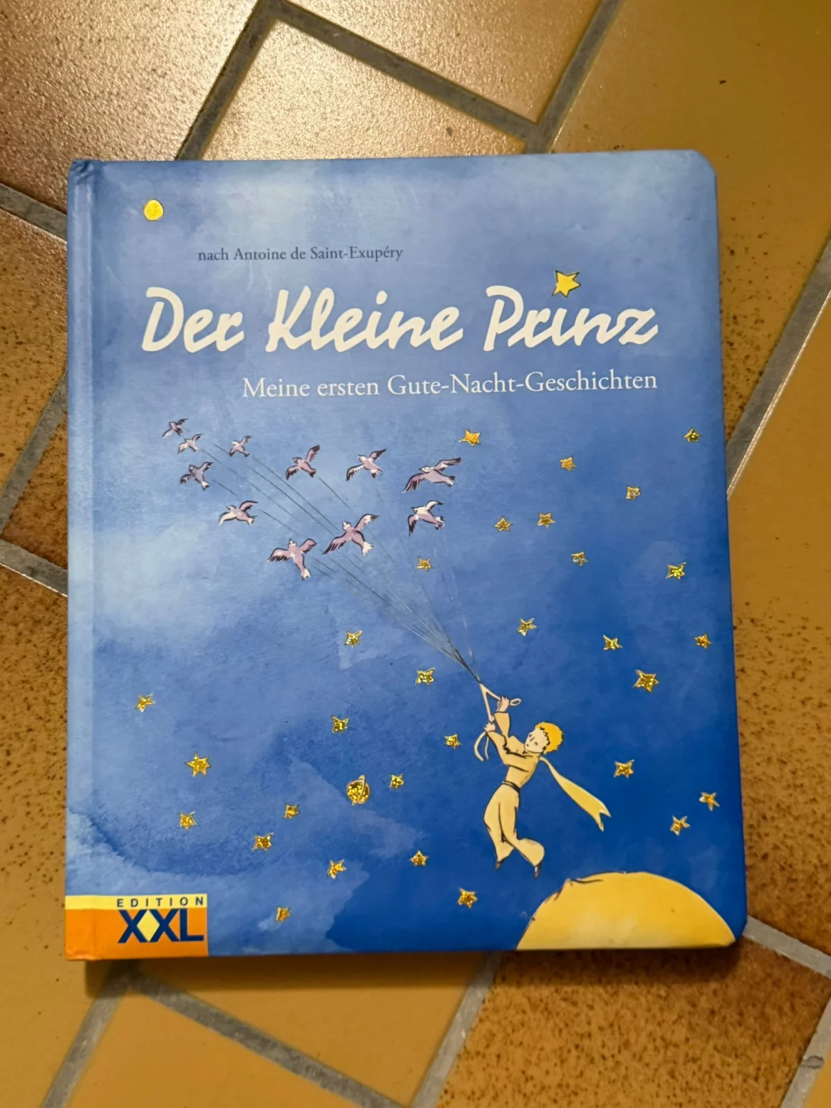 Der Kleine Prinz - Gute-Nacht-Geschichten Kinderbuch
