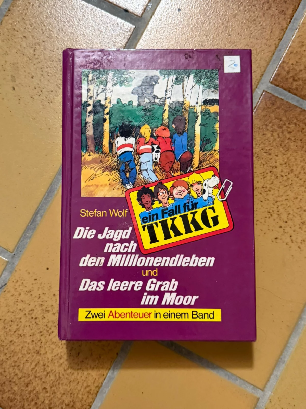 TKKG Buch Stefan Wolf - Die Jagd nach den Millionendieben