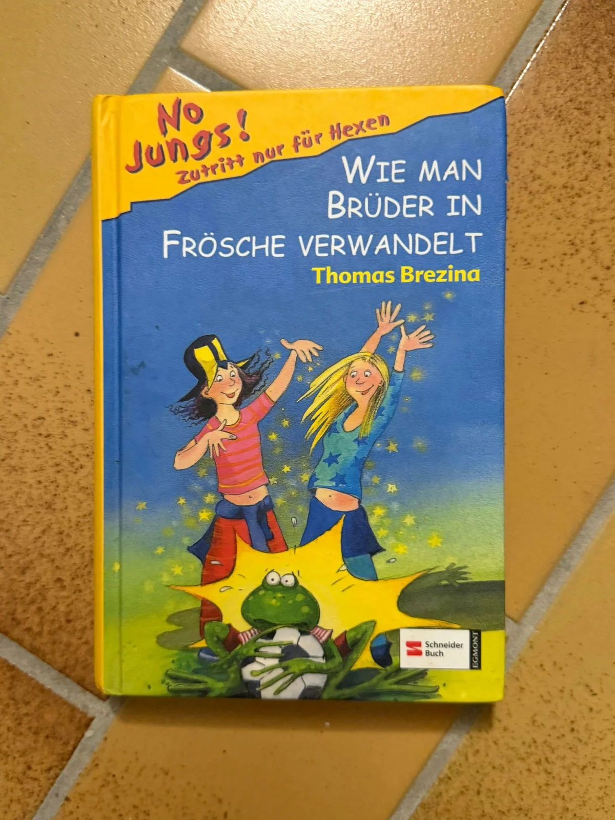 Kinderbuch "Wie man Brüder in Frösche verwandelt" Brezina
