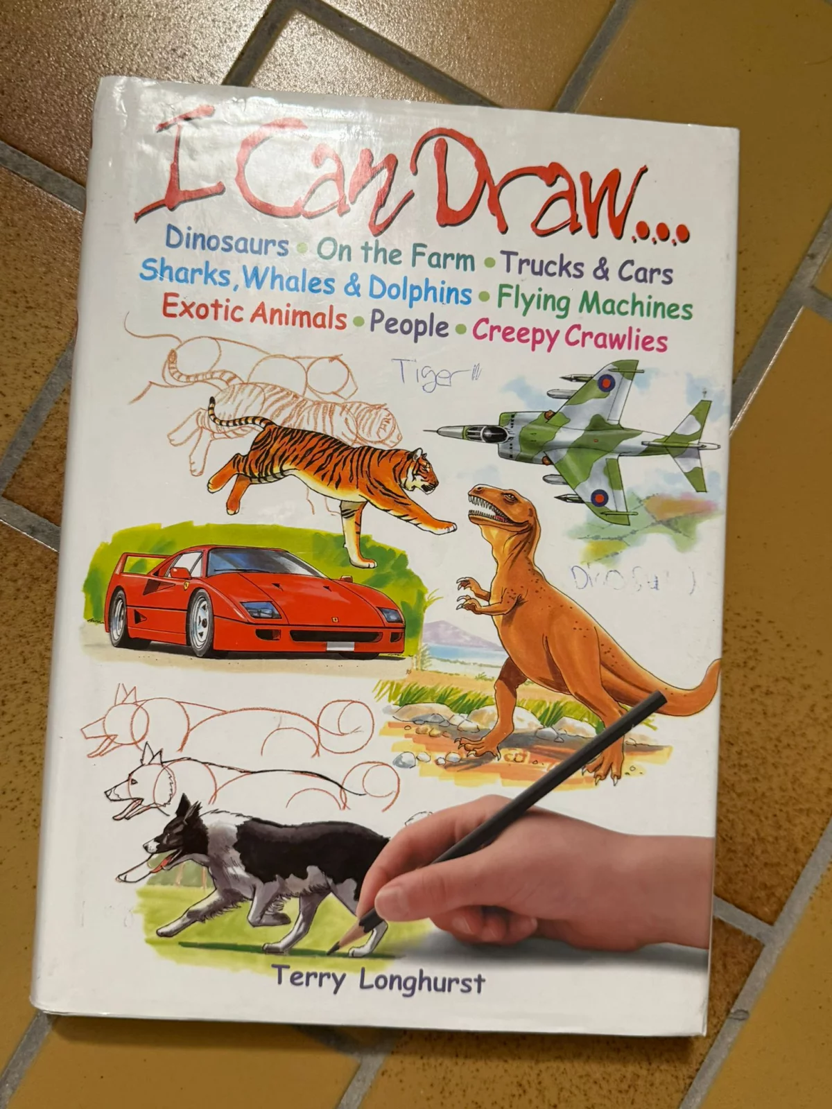 I Can Draw - Zeichenbuch von Terry Longhurst gebraucht