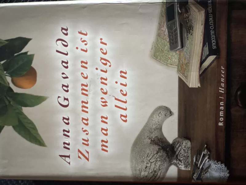 Roman Zusammen ist man wenigerllein von Anna Gavalda