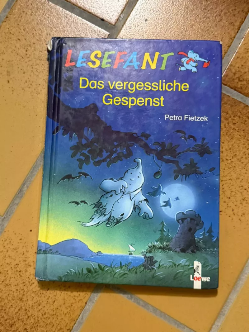 Lesefant Kinderbuch "Das vergessliche Gespenst" - Petra Fietzek