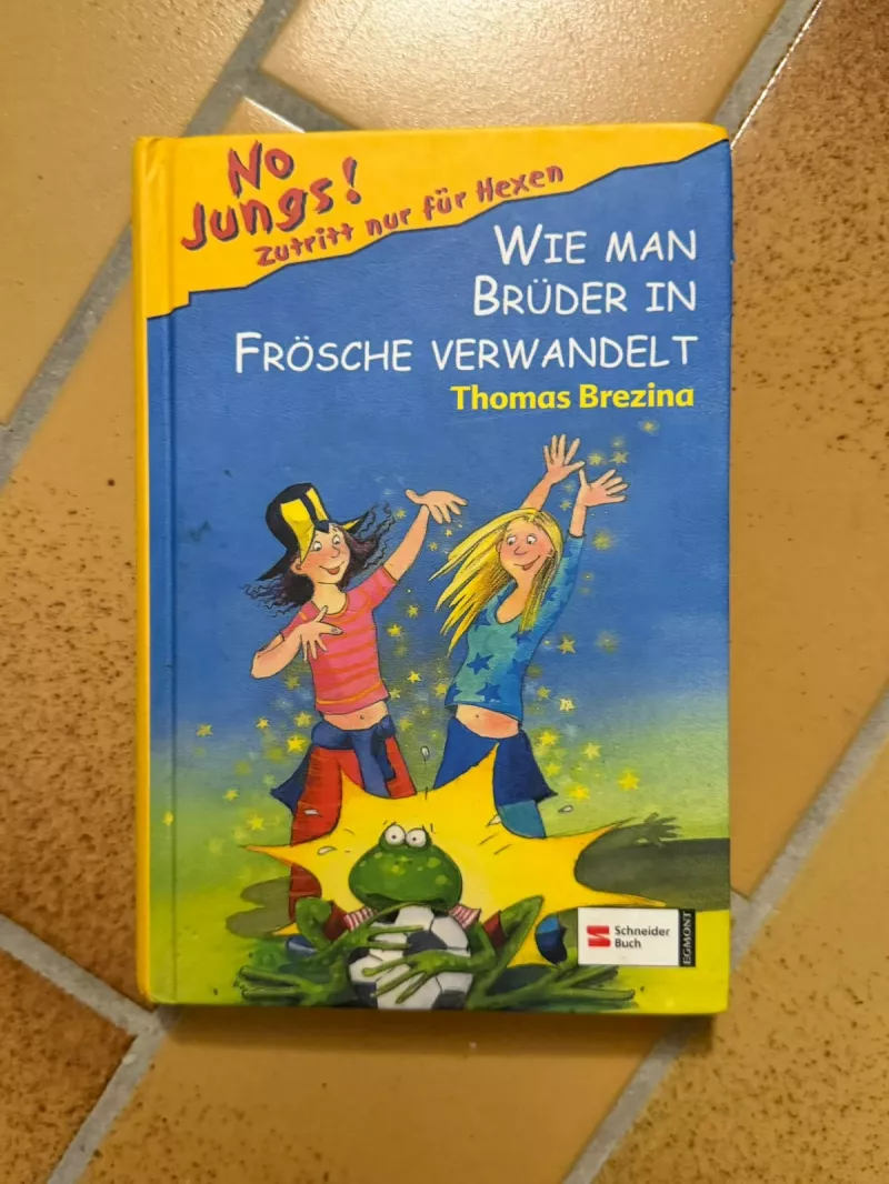 Kinderbuch "Wie man Brüder in Frösche verwandelt" Brezina