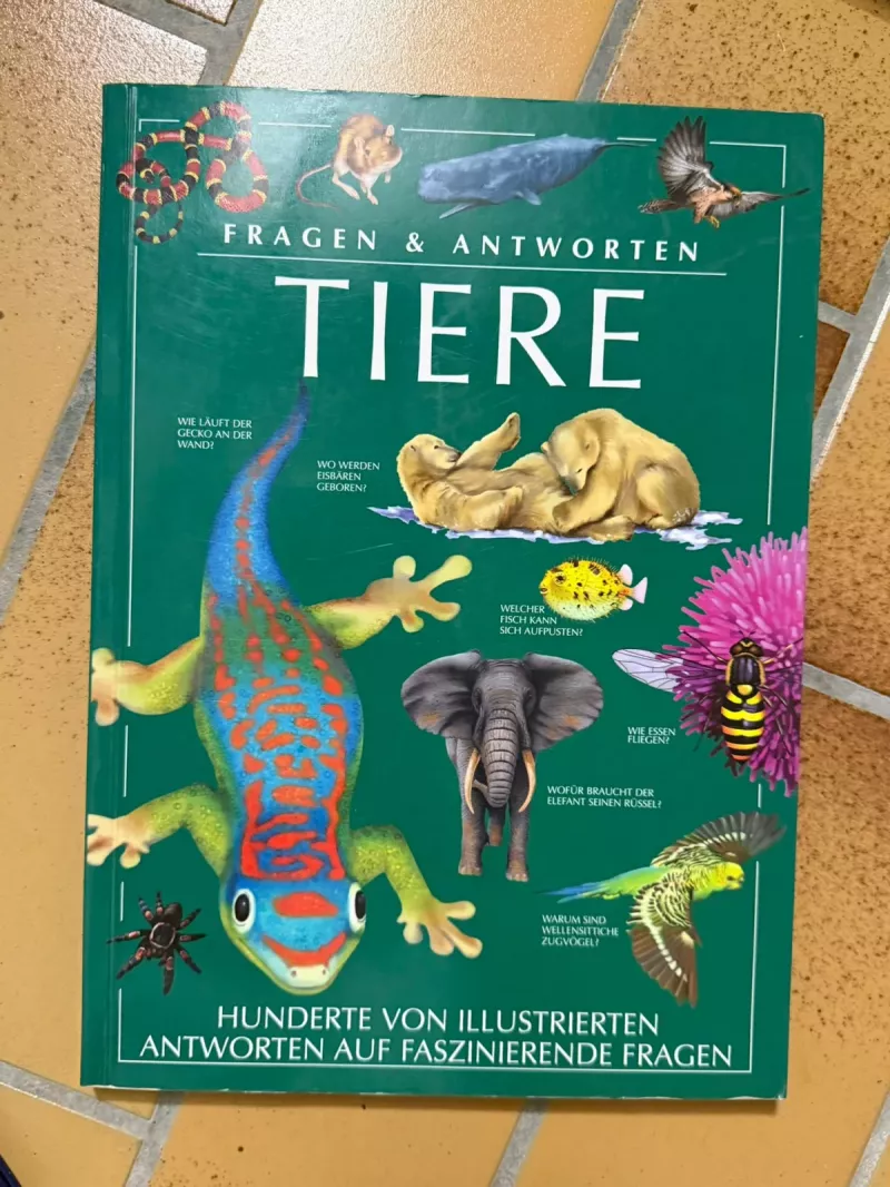Fragen & Antworten TIERE - Kindersachbuch mit Illustrationen