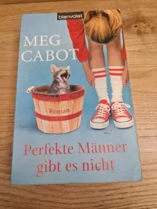 Meg Cabot - Perfekte Männer gibt es nicht Roman